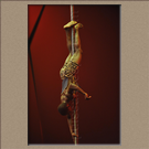 HACUNA MATATA, Tanzanie