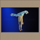 L��TOILE ET LE REVERBERE, DIMA SHINE, Ukraine