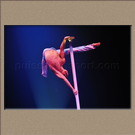 L��TOILE ET LE REVERBERE, DIMA SHINE, Ukraine