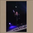 JUNGLING LIFE : PAVEL RUZHILO, Russie