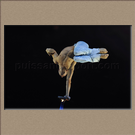 L��TOILE ET LE REVERBERE, DIMA SHINE, Ukraine