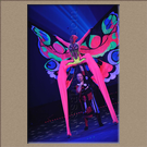 COCCINELLE ET PAPILLON, Russie