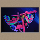 COCCINELLE ET PAPILLON, Russie