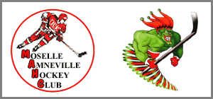 Championnat de France 1ère division de Hockey sur glace